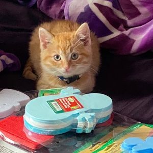 Meet your Posher, Ruby